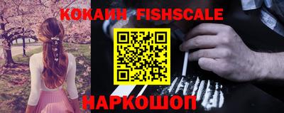 a pvp Новозыбков