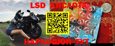 a pvp Новозыбков