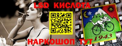 a pvp Новозыбков