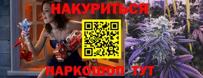 a pvp Новозыбков