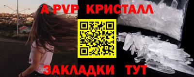 a pvp Новозыбков