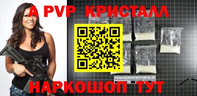 a pvp Новозыбков
