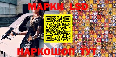 a pvp Новозыбков