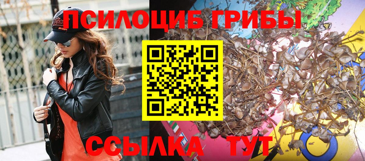 Галлюциногенные грибы мицелий Туапсе